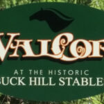 Valor at Buck Hill Stables